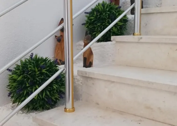 Elia Apartament